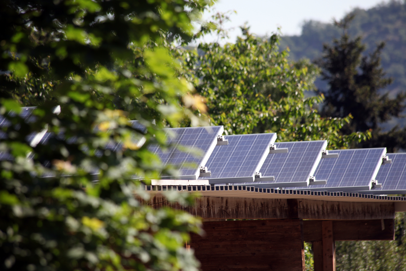 Klimaschutz mit Vernunft